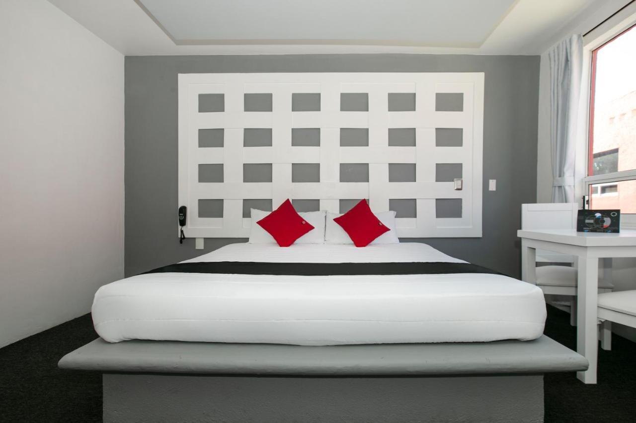Hotel Euro Confort,Pachuca エクステリア 写真