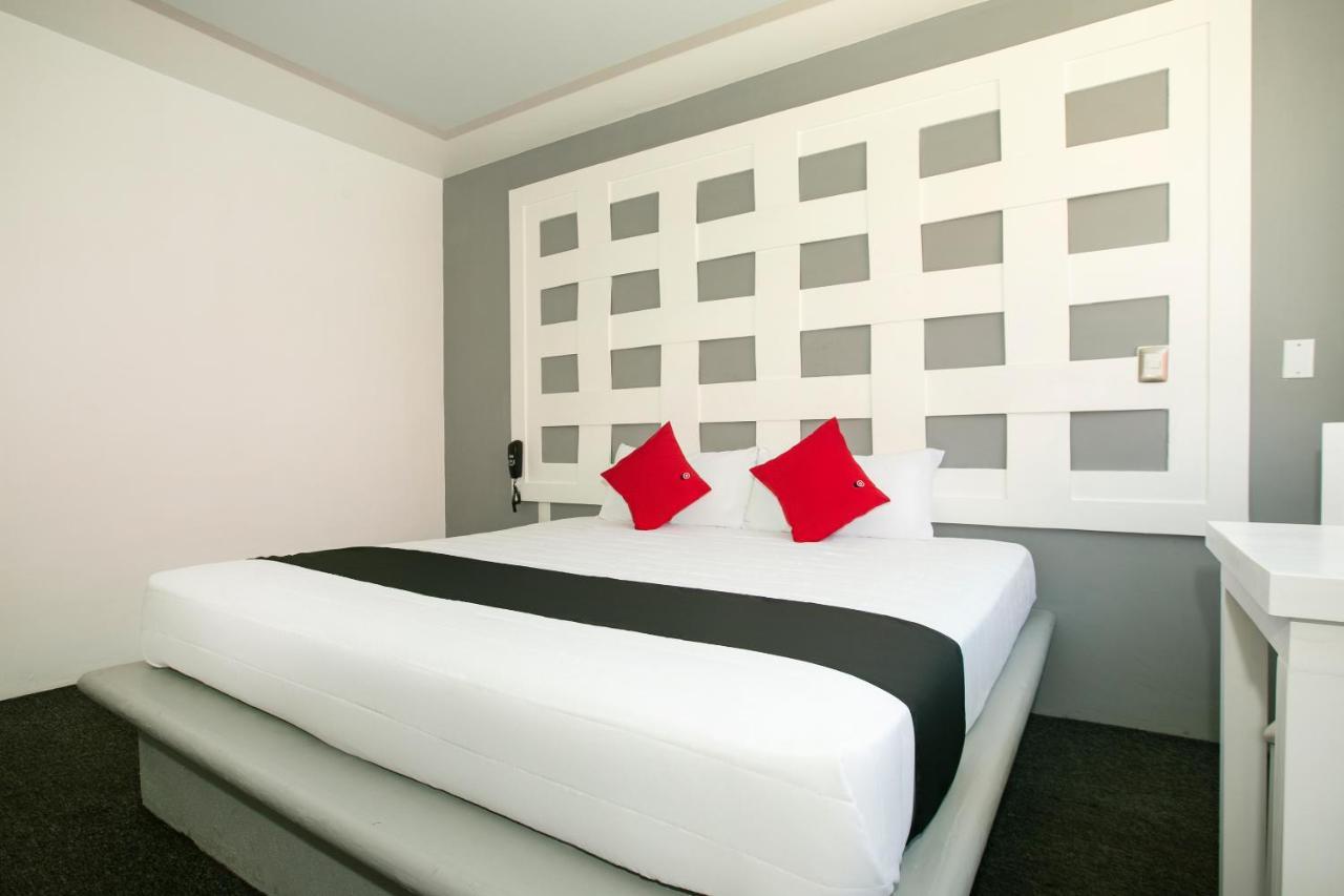 Hotel Euro Confort,Pachuca エクステリア 写真
