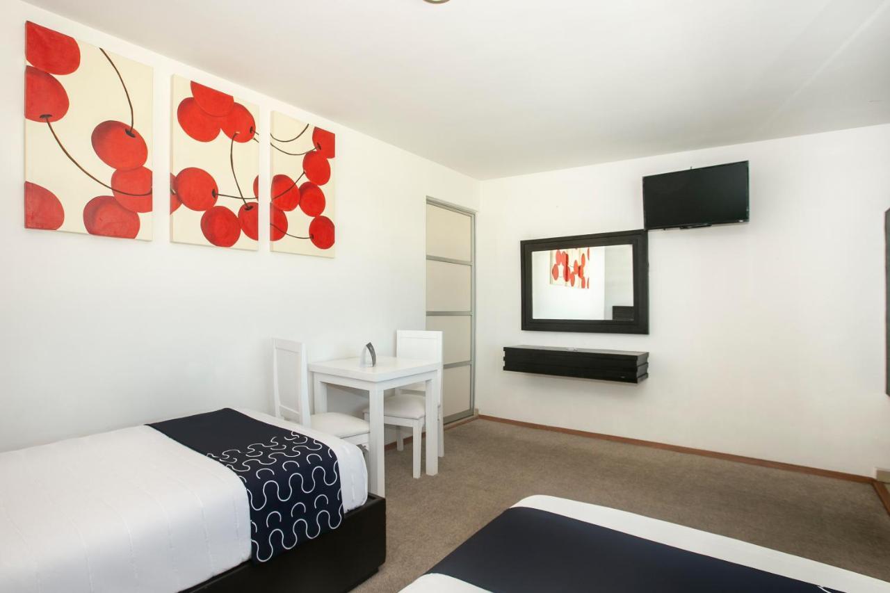 Hotel Euro Confort,Pachuca エクステリア 写真